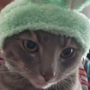 Meet your Posher, Christine